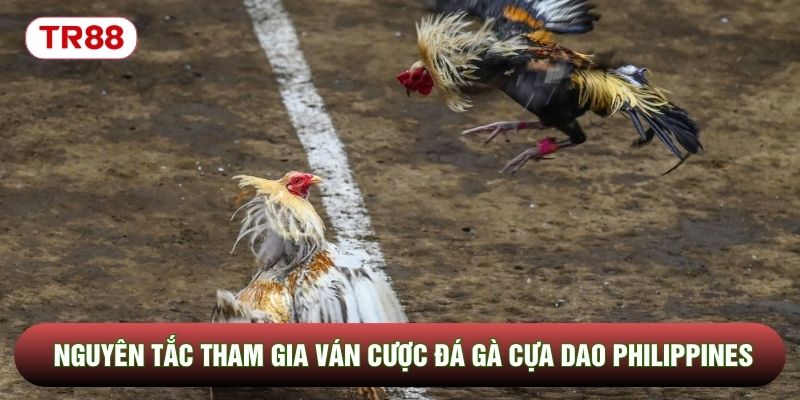 Nguyên tắc tham gia ván cược đá gà cựa dao Philippines Nguyên tắc tham gia ván cược đá gà cựa dao Philippines