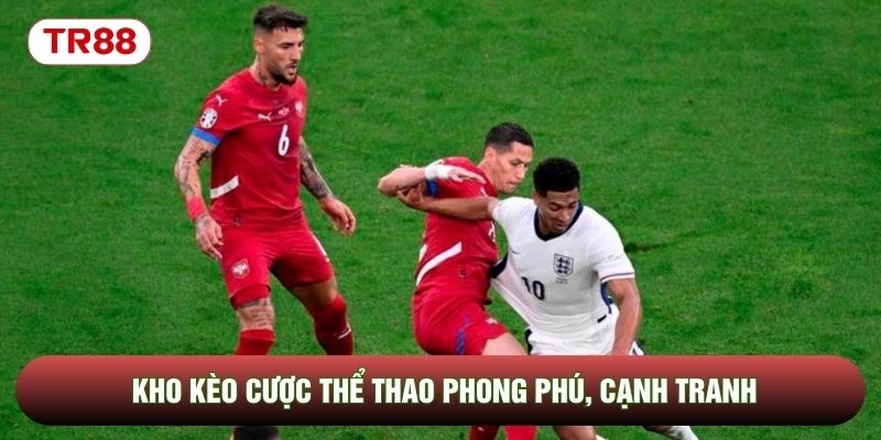 Kho kèo cược thể thao phong phú, cạnh tranh Kho kèo cược thể thao phong phú, cạnh tranh