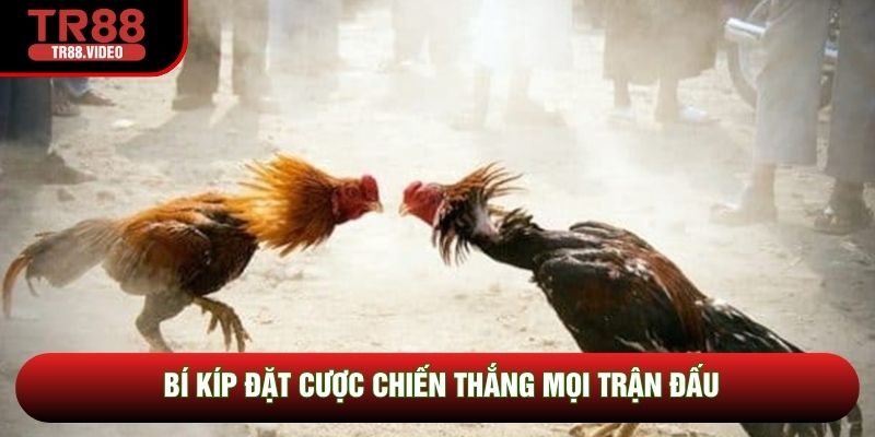 Bí kíp đặt cược chiến thắng mọi trận đấu