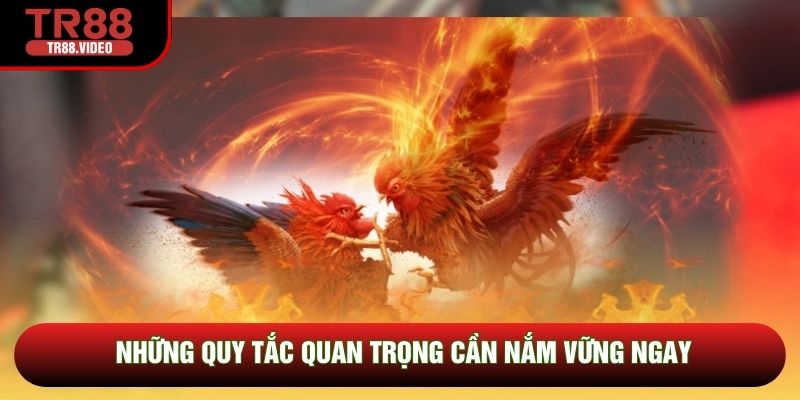 Những quy tắc quan trọng cần nắm vững ngay